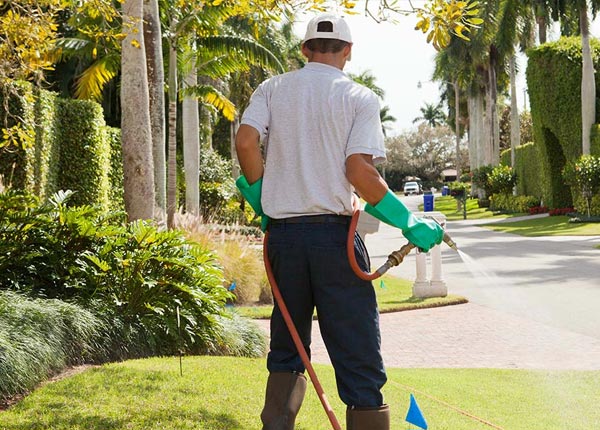 About Roma TX Pest Control